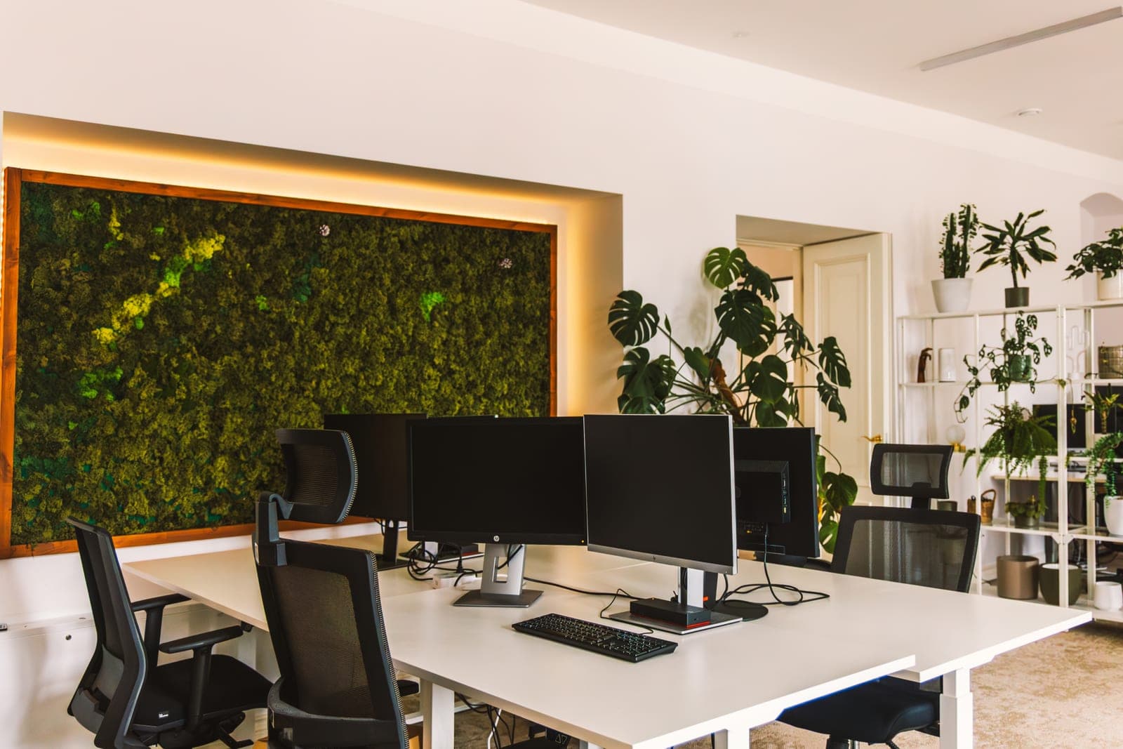 WorkVibe samblaroheline tööala